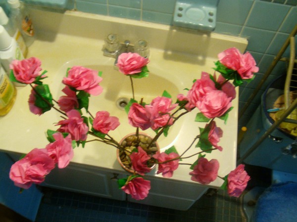 Pink Flowers