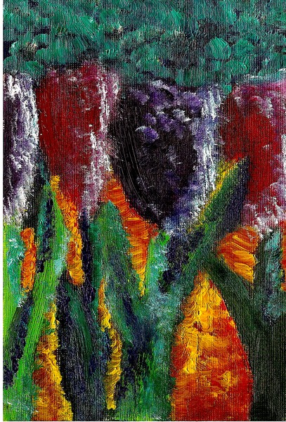 Tulips 
