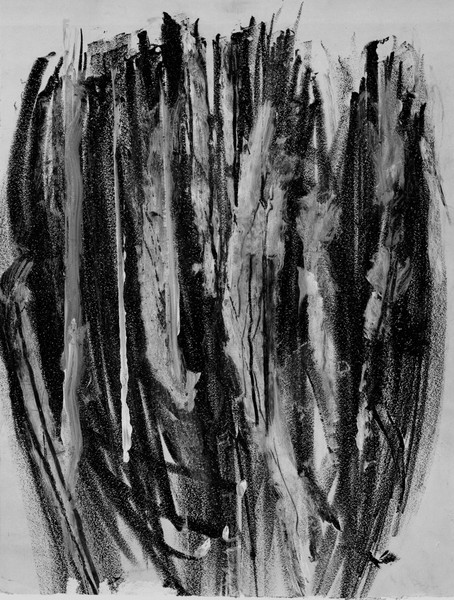 Palm Fronds