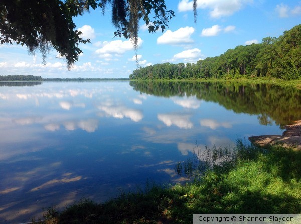 A More Natural View of Mirrored Reflections