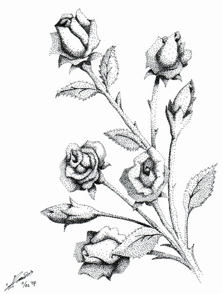 Roses