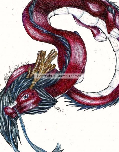 Dragon of Color
