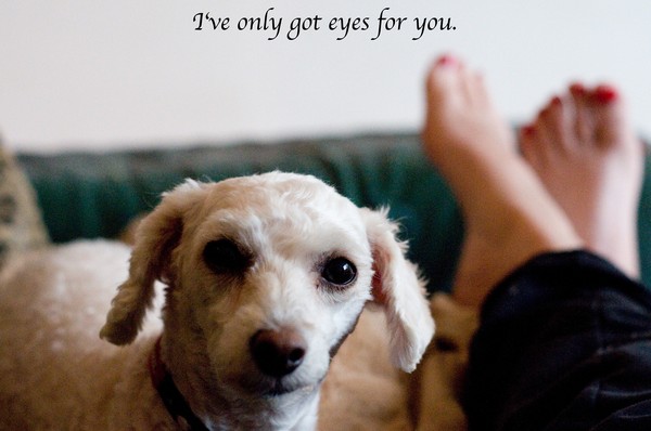 eYES only for you
