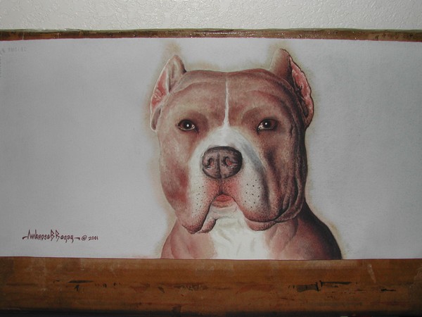 Pitbull