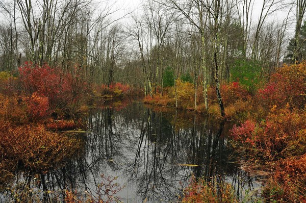  Fall Colors