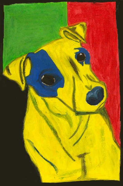 Animal Awareness