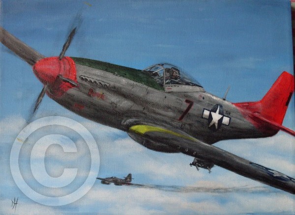 First jet kill for the Red tails