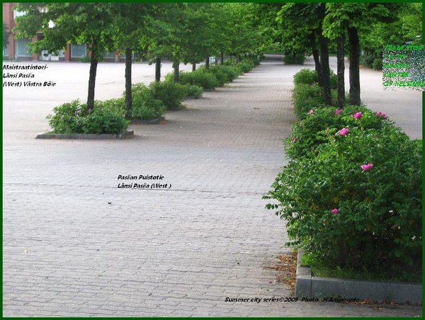 Area in Helsinki