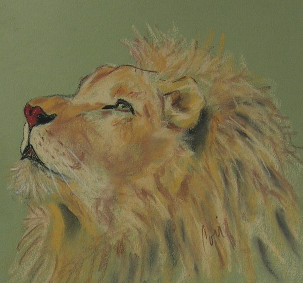 Lion Hearted