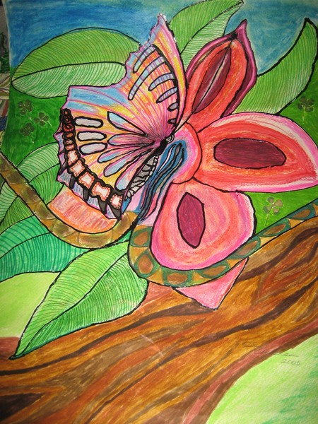 Colorfly