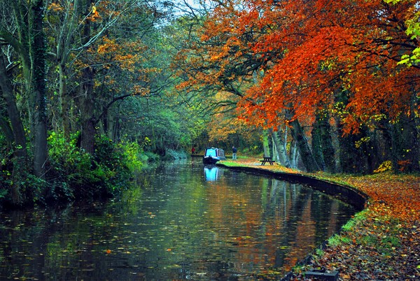 Canal Towpath in the Fall