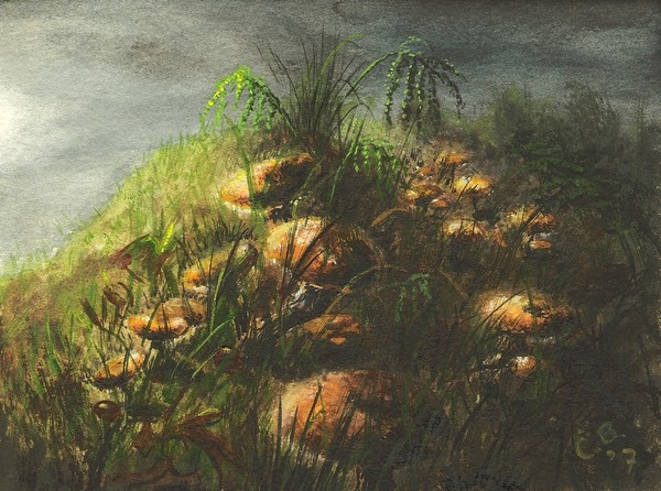1 out of 12 'Dutch Forest'