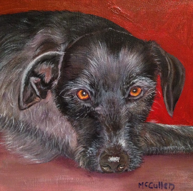 Ruby the Lurcher