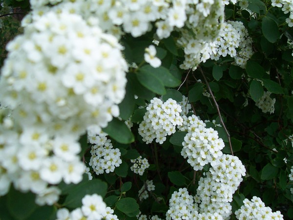 Bits of Summer 2