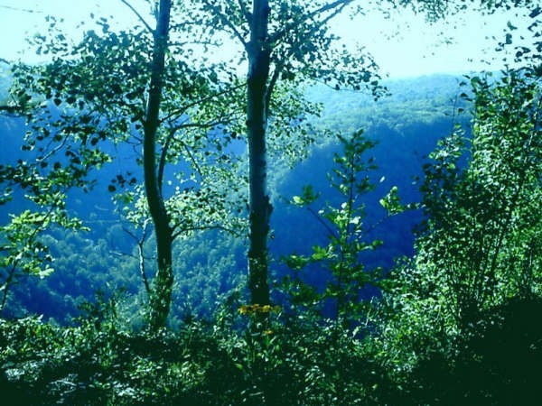 Pennsylvania Grand Canyon, 7 Wellsboro Pa.