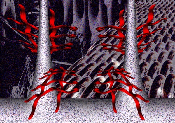 xxx