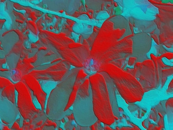 Red and Turquiose