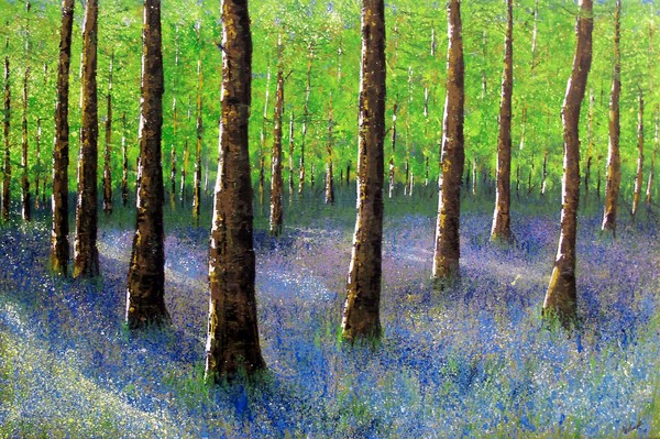 Bluebell Wood