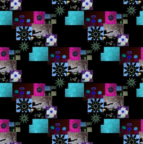 Beauty and Color on Black
