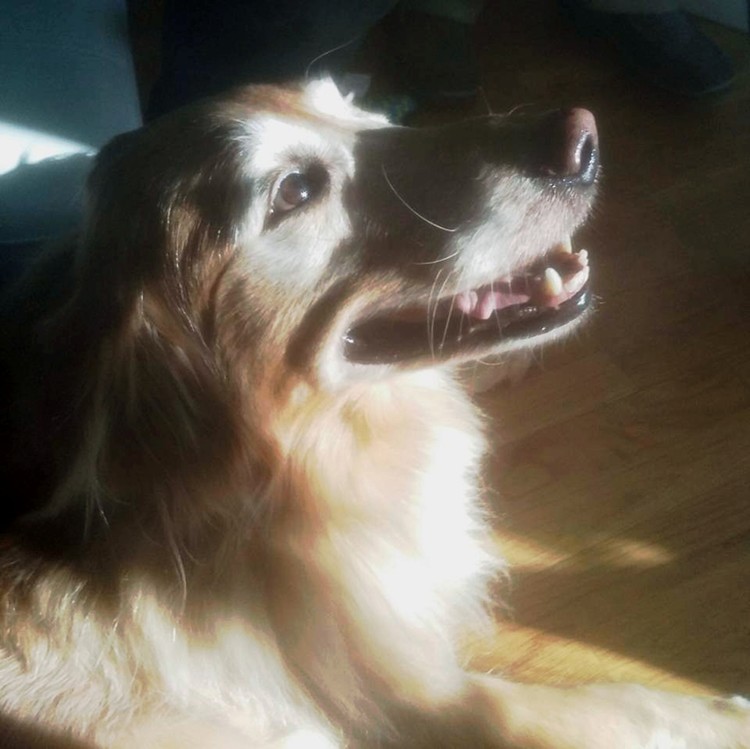 Minka, the love