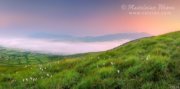 • Final View of Cahersiveen covered in fog