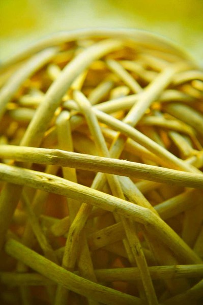 Rattan