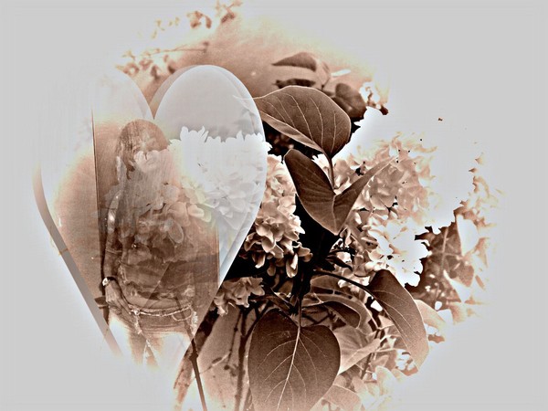 Heart of spring