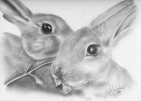 Rabbits