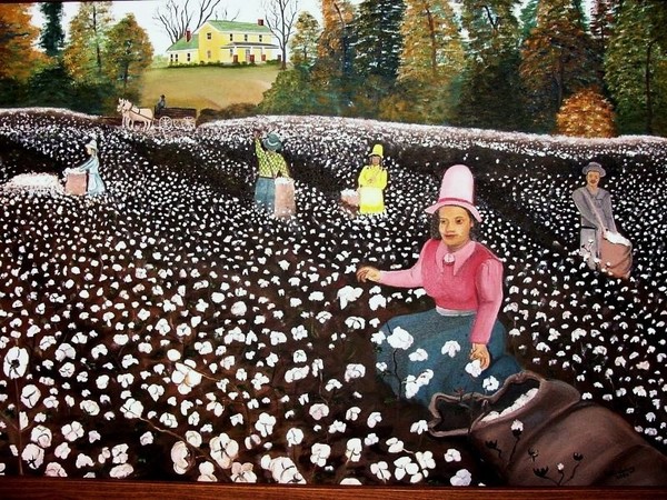 Pickin Cotton
