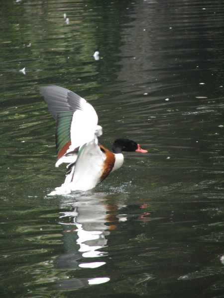 Taking off