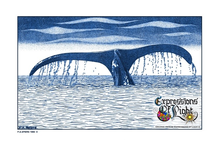 ExpoLight-Graphic-Arts-Whale's-Tail-1986-0001 (Pen-&-Ink-Blue-Sepia-SP)