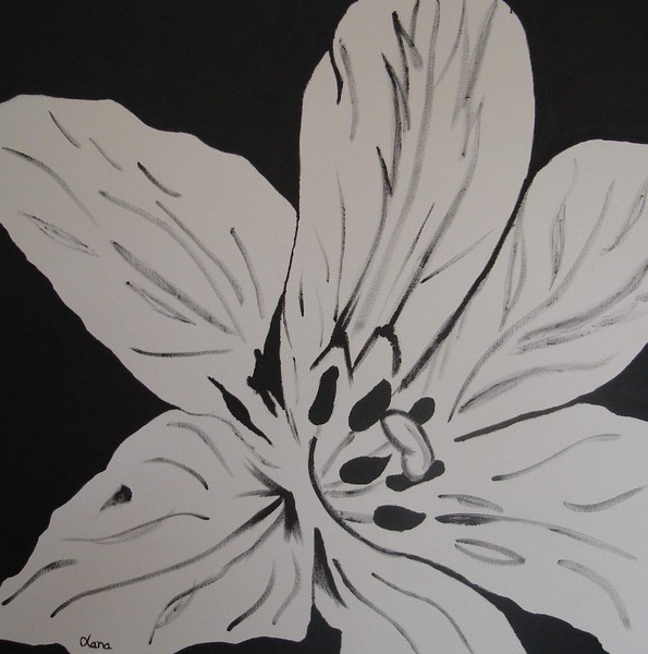black_flower_-_60_