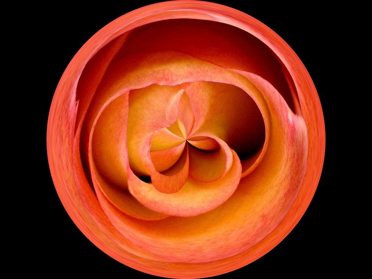 Morphed Art Globe 20
