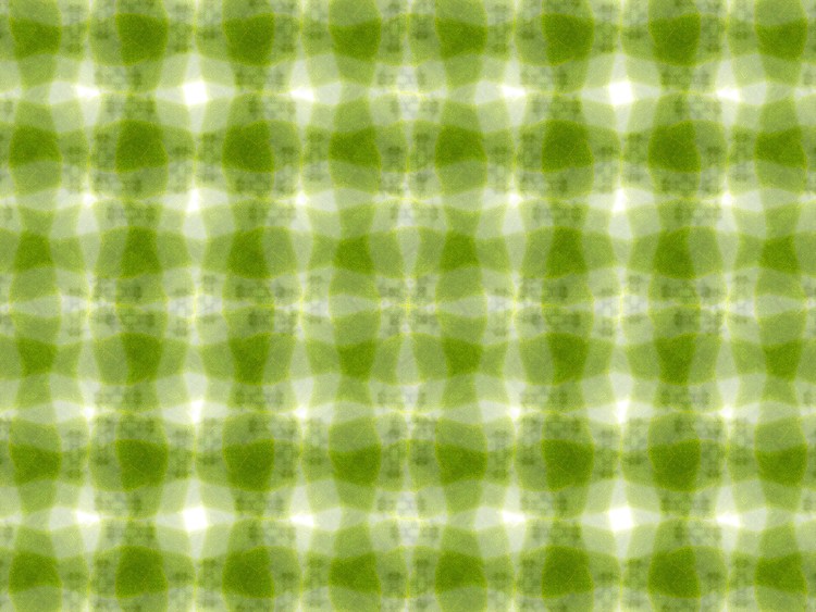 Digital Design 24