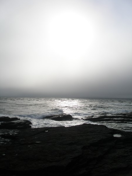 Waves 5