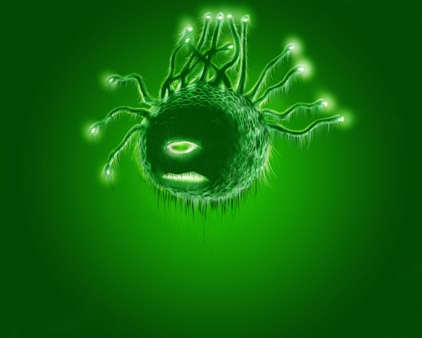 beholder