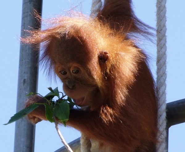 Hangin around