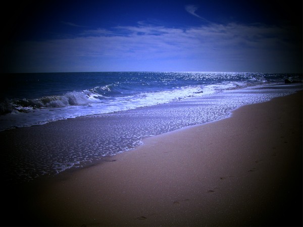 Paradise