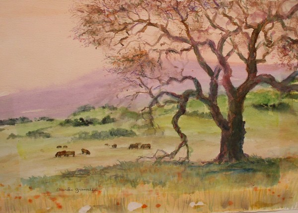 Sonoma Meadows