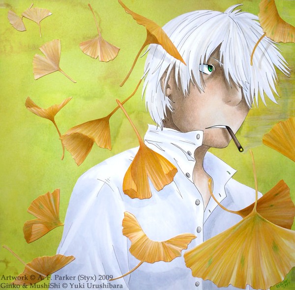 Ginkgo Ginko