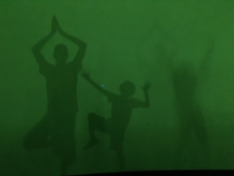 Shadows