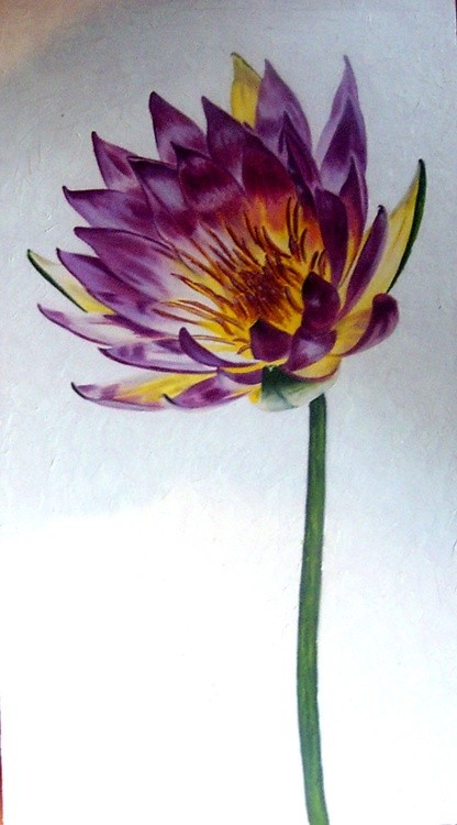purple flowers