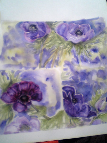 4 anemones