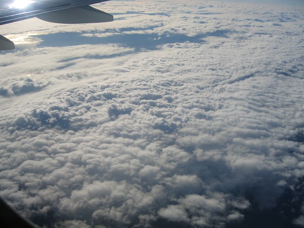 White and fluffy