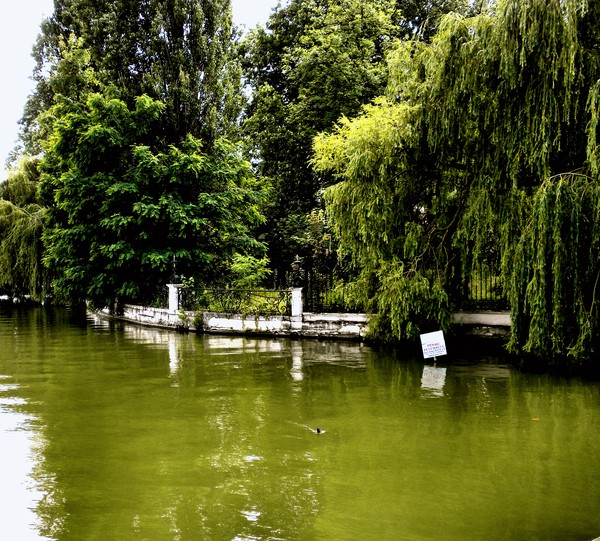 charming waterfront