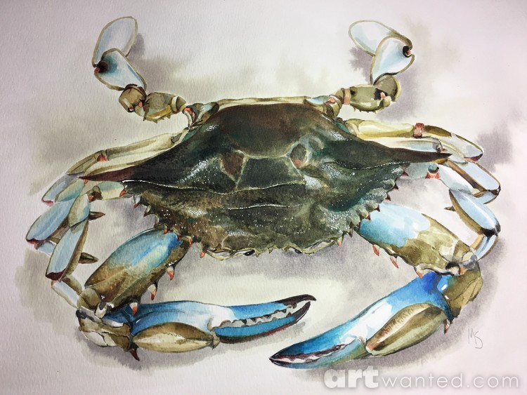 The Blue Crab