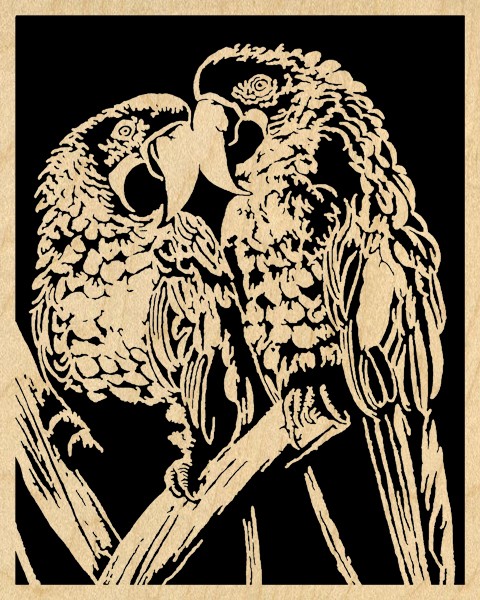 Parrots