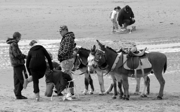 Beach Transport