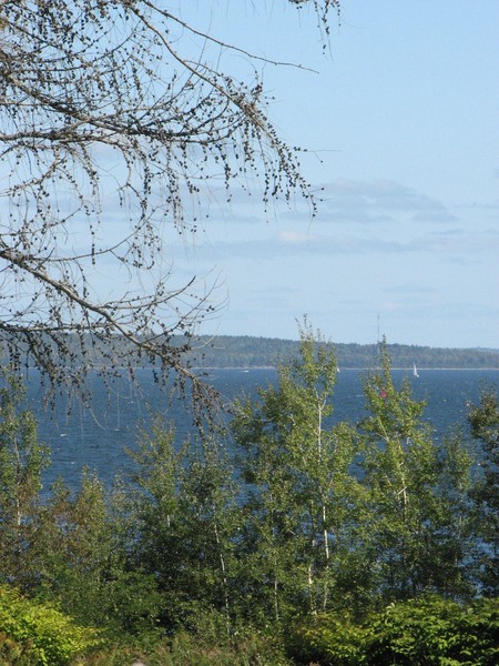 over looking the ocean