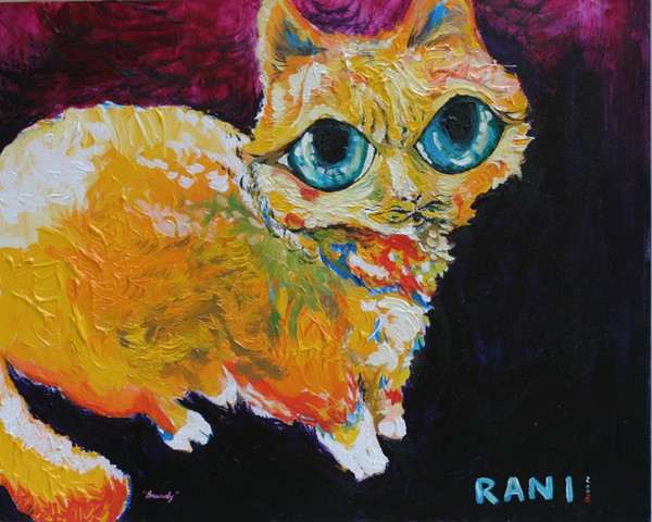 My Dear Friend Yehudah's Cat, Brandy